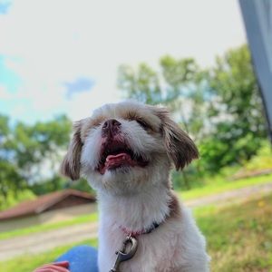 Meet your Posher, Elizabeth